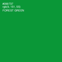 #099737 - Forest Green Color Image