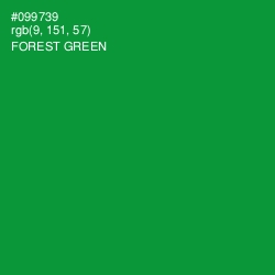 #099739 - Forest Green Color Image