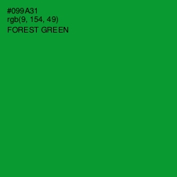 #099A31 - Forest Green Color Image