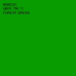 #099C01 - Forest Green Color Image