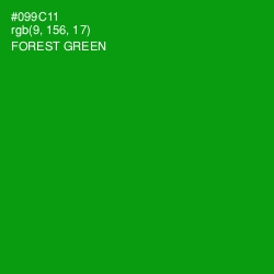 #099C11 - Forest Green Color Image