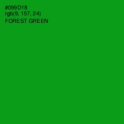 #099D18 - Forest Green Color Image