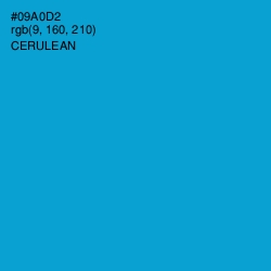 #09A0D2 - Cerulean Color Image