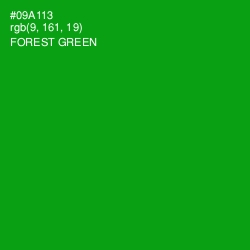 #09A113 - Forest Green Color Image