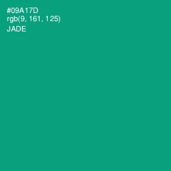 #09A17D - Jade Color Image