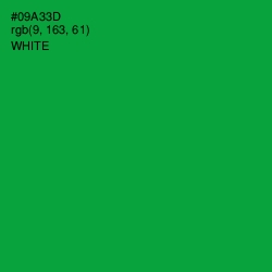 #09A33D - Forest Green Color Image