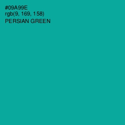 #09A99E - Persian Green Color Image