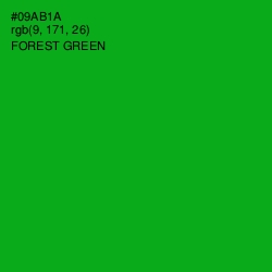 #09AB1A - Forest Green Color Image