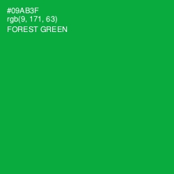 #09AB3F - Forest Green Color Image