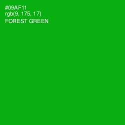 #09AF11 - Forest Green Color Image