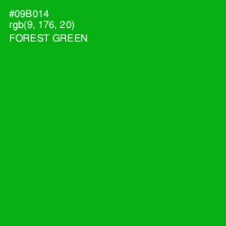 #09B014 - Forest Green Color Image