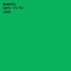 #09B05D - Jade Color Image