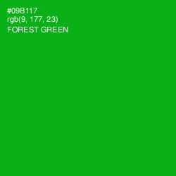 #09B117 - Forest Green Color Image