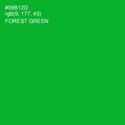 #09B12D - Forest Green Color Image