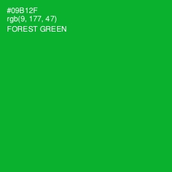 #09B12F - Forest Green Color Image