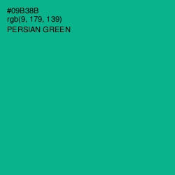 #09B38B - Persian Green Color Image