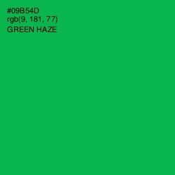 #09B54D - Green Haze Color Image