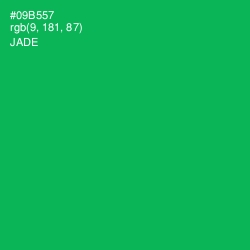 #09B557 - Jade Color Image