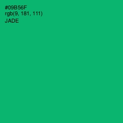 #09B56F - Jade Color Image