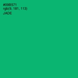 #09B571 - Jade Color Image