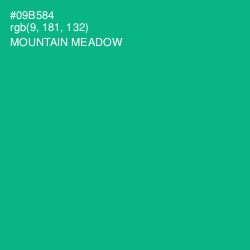 #09B584 - Mountain Meadow Color Image