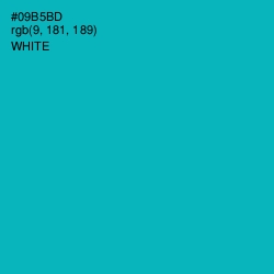 #09B5BD - Bondi Blue Color Image