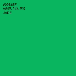 #09B65F - Jade Color Image