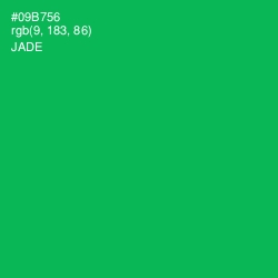 #09B756 - Jade Color Image