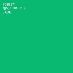 #09B871 - Jade Color Image