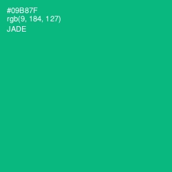 #09B87F - Jade Color Image