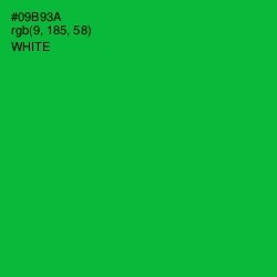 #09B93A - Forest Green Color Image