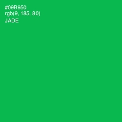 #09B950 - Jade Color Image