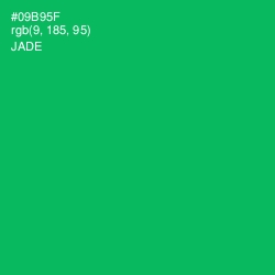 #09B95F - Jade Color Image