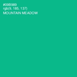 #09B989 - Mountain Meadow Color Image