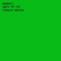 #09BB17 - Forest Green Color Image