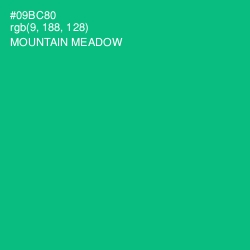 #09BC80 - Mountain Meadow Color Image