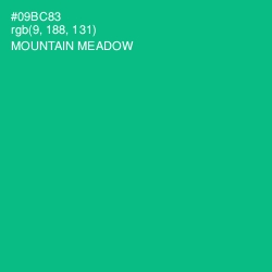 #09BC83 - Mountain Meadow Color Image