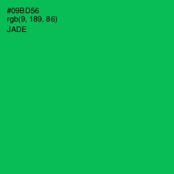 #09BD56 - Jade Color Image