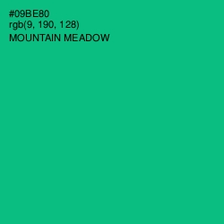 #09BE80 - Mountain Meadow Color Image