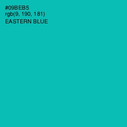 #09BEB5 - Eastern Blue Color Image