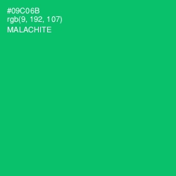 #09C06B - Malachite Color Image