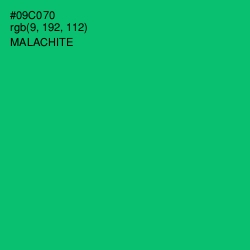 #09C070 - Malachite Color Image