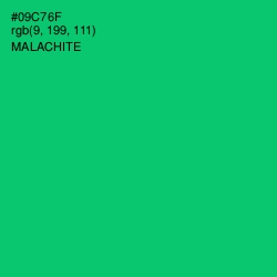 #09C76F - Malachite Color Image