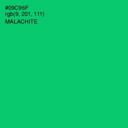 #09C96F - Malachite Color Image