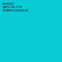 #09CBD7 - Robin's Egg Blue Color Image