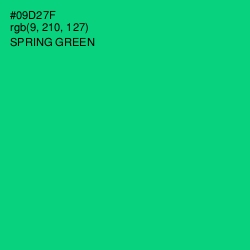 #09D27F - Spring Green Color Image