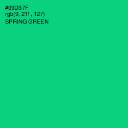 #09D37F - Spring Green Color Image