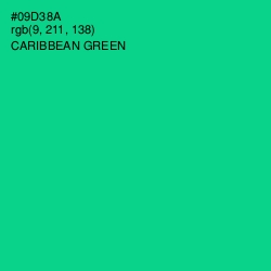 #09D38A - Caribbean Green Color Image