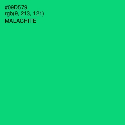 #09D579 - Malachite Color Image