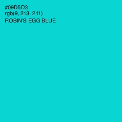 #09D5D3 - Robin's Egg Blue Color Image
